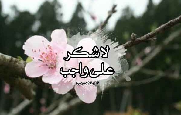 رد على شكر شخص