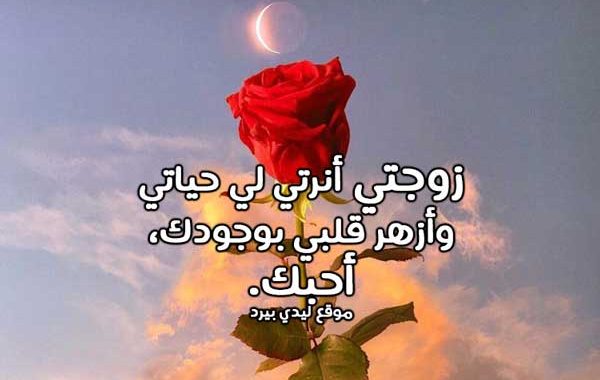 ابيات شعر حب للزوجة