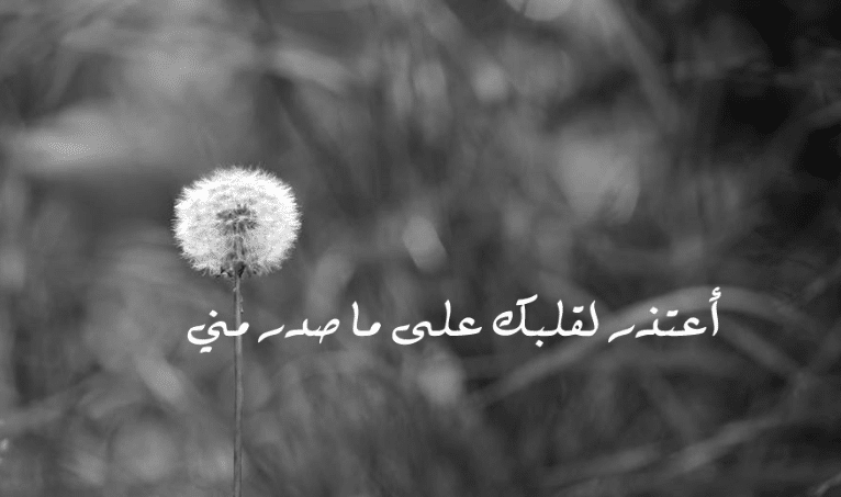  كلام اعتذار لشخص غالي 