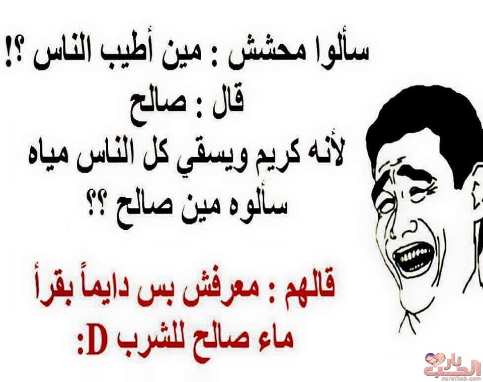 نكت محششين قصيرة