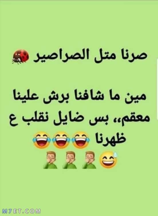 نكت 2020 تموت من الضحك قصيرة