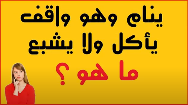 فوازير مضحكة ونكت