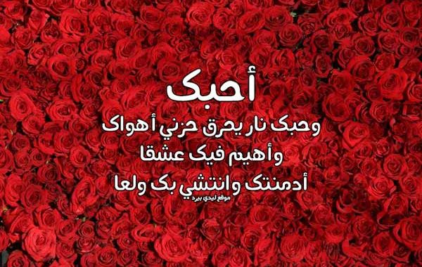 مسجات حبيبتي رسالة مدح لحبيبتي