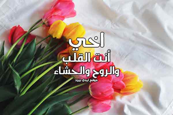 اخي الغالي كلمات
