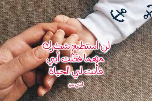 رسالة الى أبي قصيرة