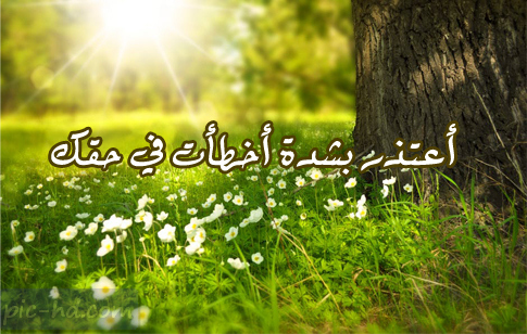  رسائل اعتذار قوية 