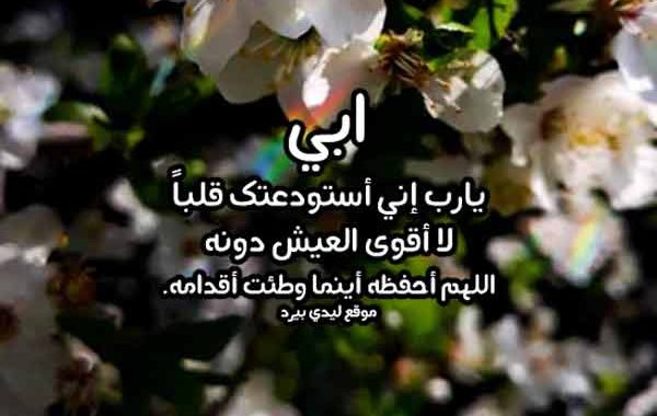 والدي العزيز حفظك الله وادامك