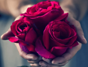 رسالة اعتذار لشخص قصرت في حقه