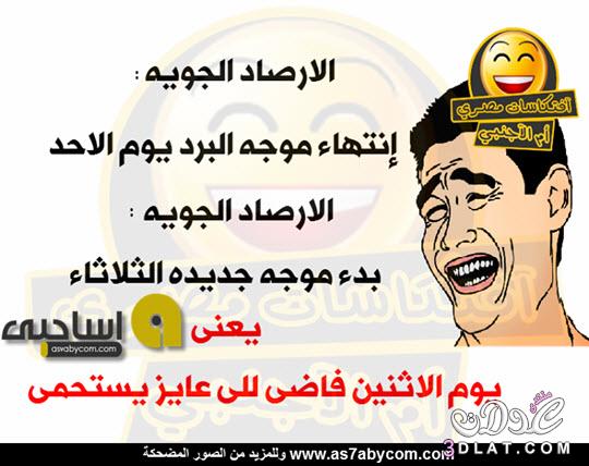 كومنتات مضحكة عن البرد