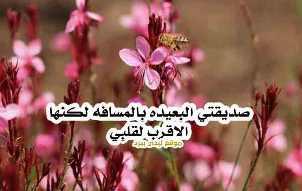رسالة حب لصديقتي - رسالة الى صديقتي البعيدة