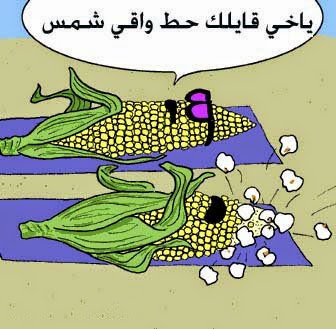 بوستات عن الحر
