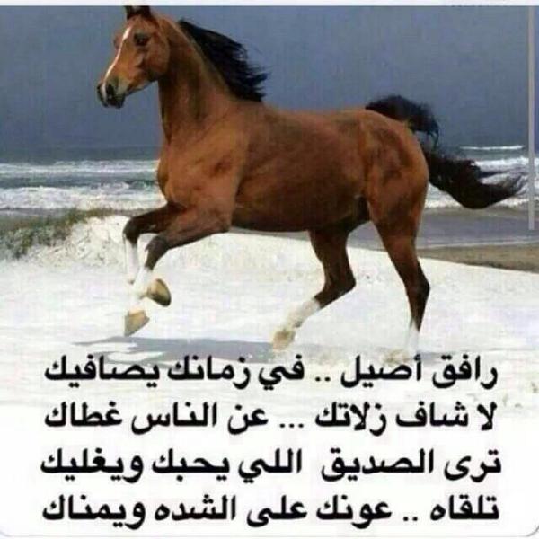 شعر مدح في شخص غالي