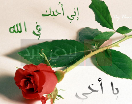  رسائل اعتذار للاخ 