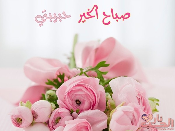 صباح الخير حبيبتي رسائل