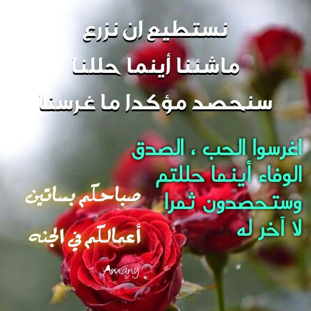 عبارات صباحية ايجابية