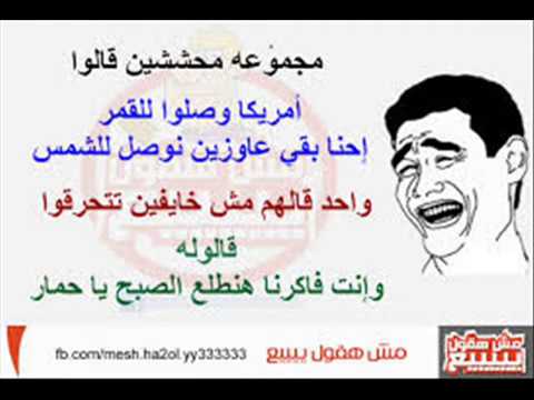 نكت محششين قصيرة