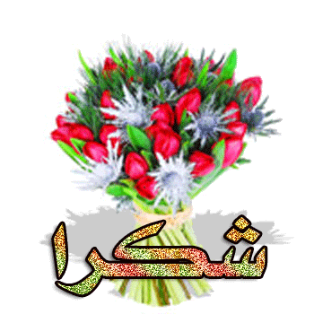 الرد على كلمة مشكورة