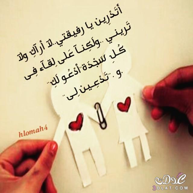 رسالة الى صديقتي البعيدة
