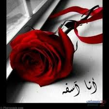  رسالة اعتذار لصديق أخطأت في حقه 