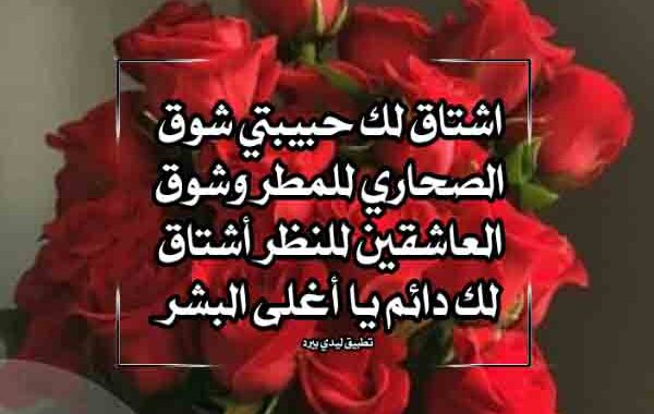 رسالة الى حبيبتي شوق