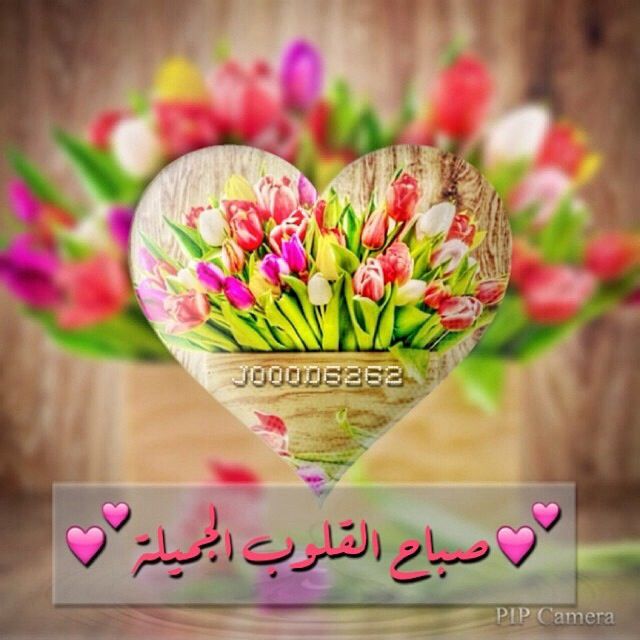 صباح القلوب الجميلة