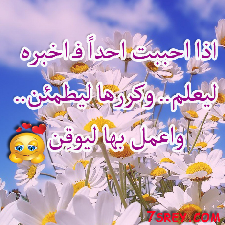 عبارات جميلة عن الحب قصيرة