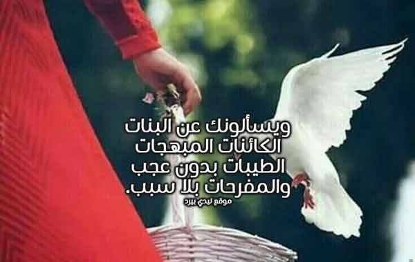 أبيات شعر عن خلفة البنات
