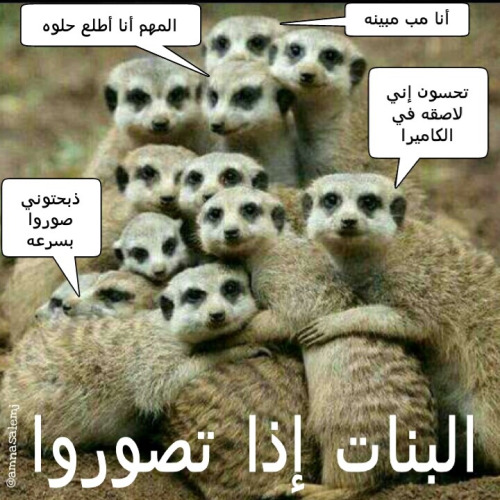 اجمل الصور المضحكة مع التعليق