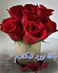 شعر رد على كلام جميل