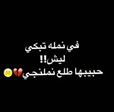 نكته تضحك نملة