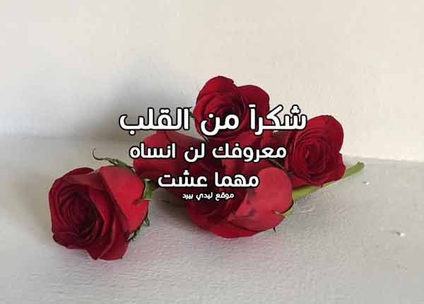 رسالة شكر على الجهود المبذولة