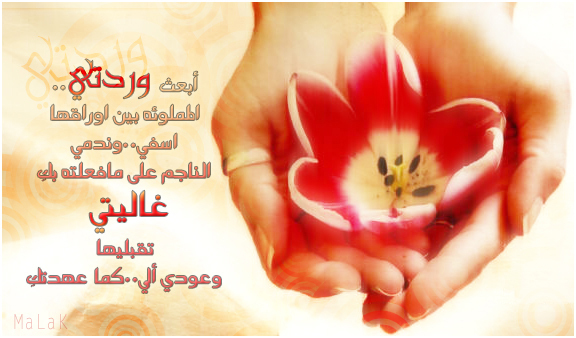 بوست اعتذار لحبيبتي