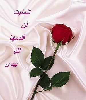رسالة اعتذار للحبيبة بالدارجة 