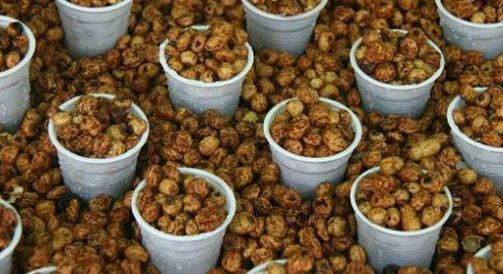 تجربتي مع حب العزيز لزيادة الوزن
