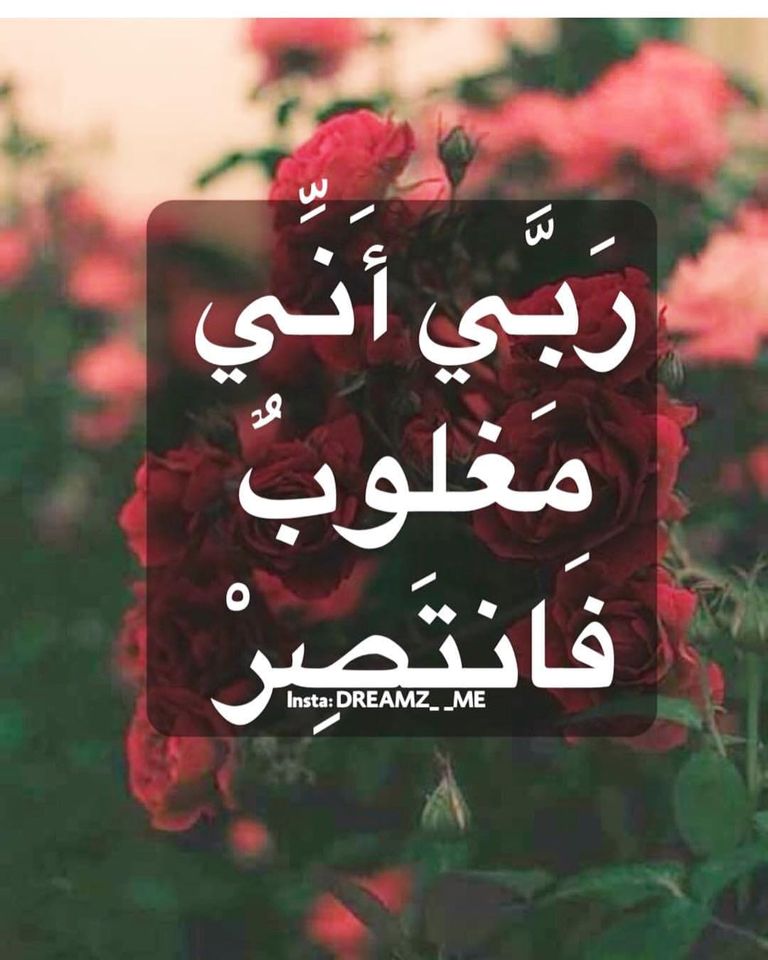 ربي اني مغلوب فانتصر واجبر قلبي