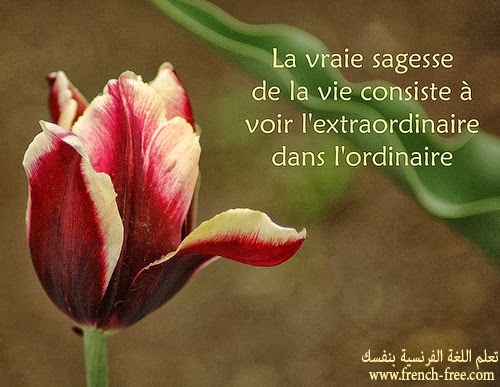 حكم فرنسية مشهورة مترجمة