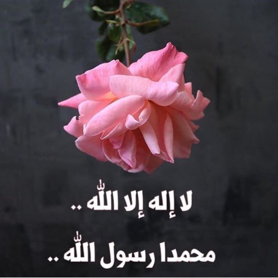 تجربتي مع الذكر