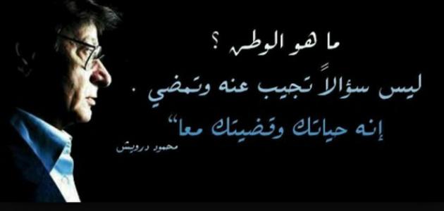 شعر عن خيانة الوطن