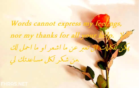 عبارات مدح بالانجليزي