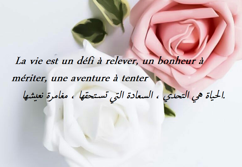 عبارات بالفرنسية عن الحياة