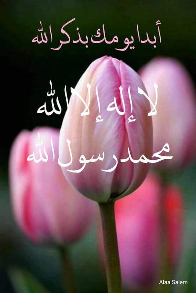 تجربتي مع ورد لا إله الا الله