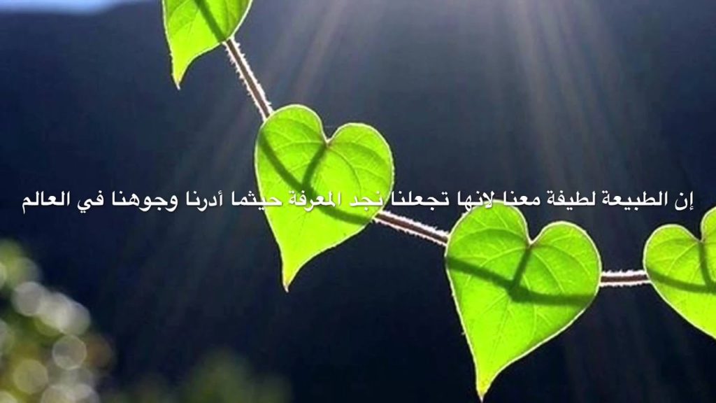 كلمات عن الطبيعة