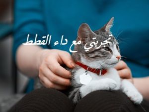 تجربتي مع داء القطط