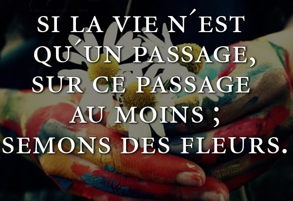 كلمات فرنسية حلوه