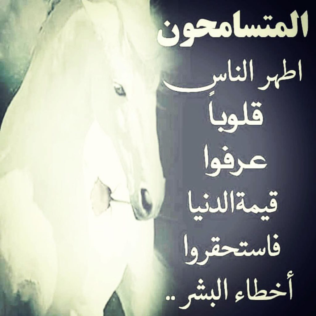 ابيات شعرية عن التسامح 