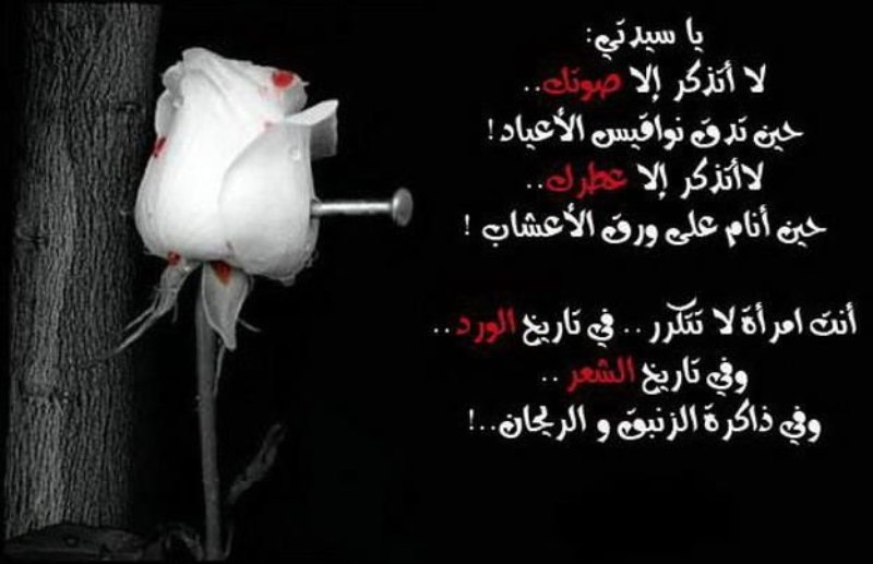 شعر عن حرية المرأة
