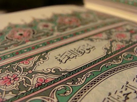تجربتي في حفظ سورة البقرة 