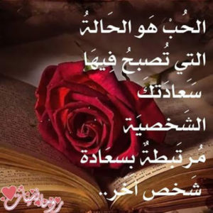 ابيات شعرية عن الحب والعشق