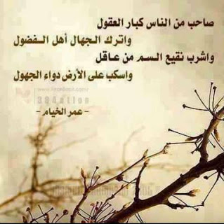 ابيات شعر عن التدخل في شؤون الآخرين
