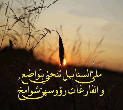اجمل ما قيل عن التواضع